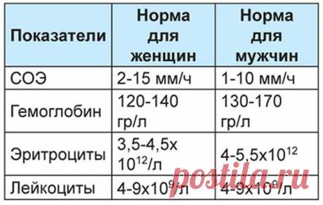 9 показателей крови, которые расскажут все о вашем здоровье.