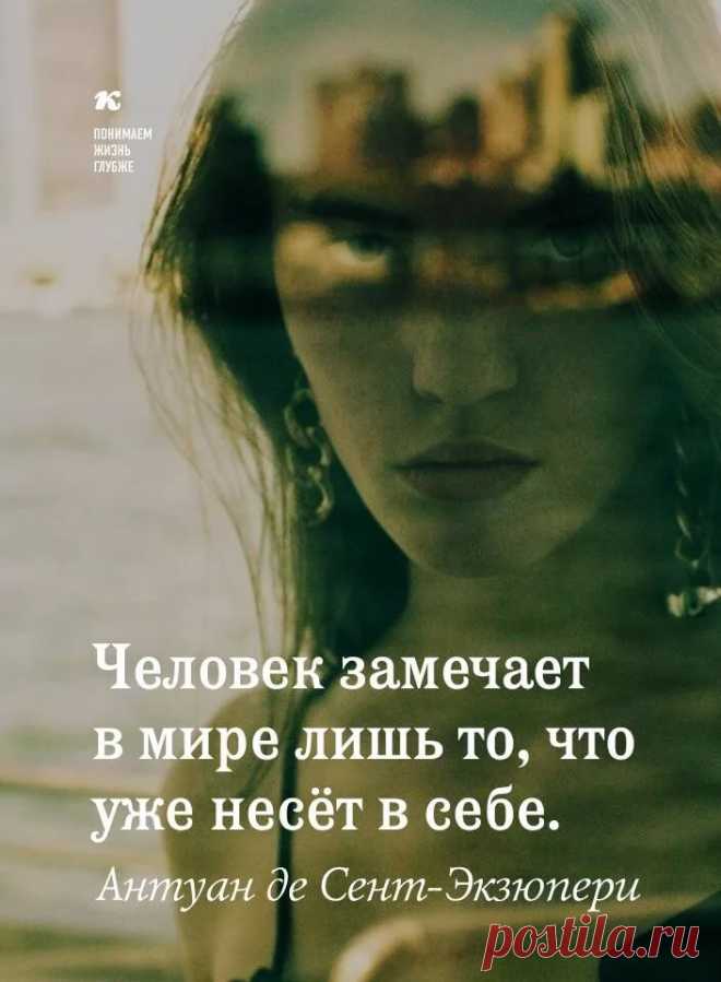 Яндекс.Картинки: поиск похожих картинок