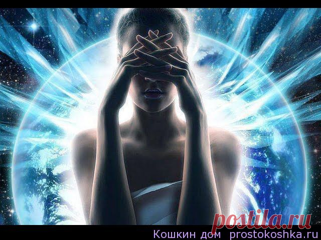 Энергетическая связь и энергетическая привязка. В чем разница | Кошкин дом