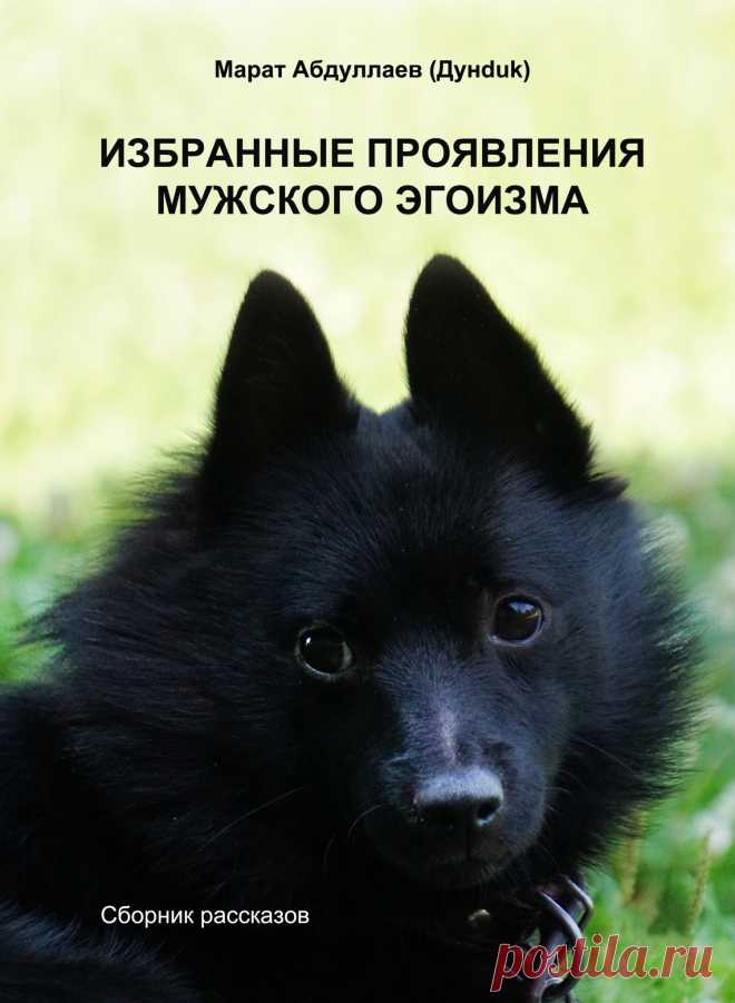 Домашнее вино из черноплодной рябины