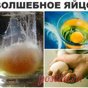 СНЯТИЕ НЕГАТИВА С ЧЕЛОВЕКА И ЛЕЧЕНИЯ НЕСЛОЖНЫХ БОЛЕЗНЕЙ СЫРЫМ ЯЙЦОМ