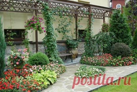 "Лучшие поздравления и пожелания"
Алла Курицына (Рожкова)