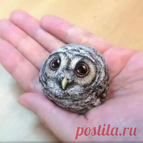 СМЕХОТЕРАПИЯ !!!
