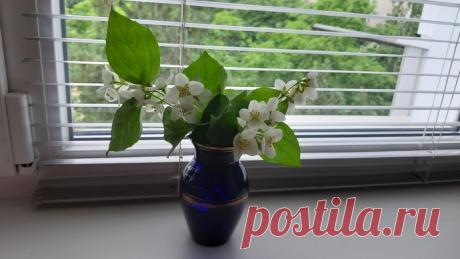 Всегда возвращайтесь...