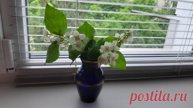 Всегда возвращайтесь...