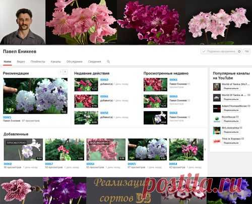 Dimetris.ru — Каталоги комнатных растений частных коллекционеров