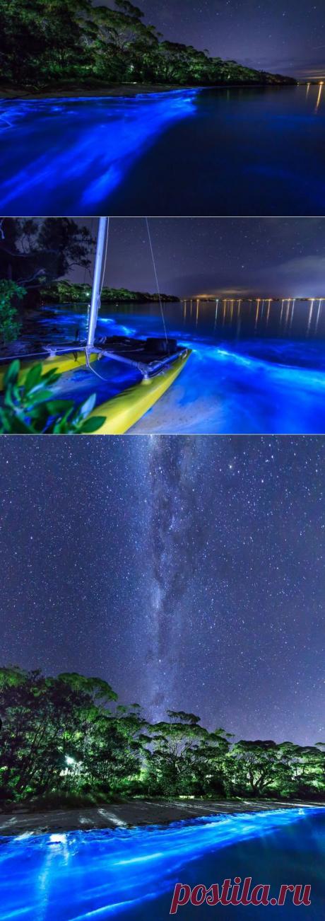 Южный Уэльс, светящийся планктон / Туристический спутник