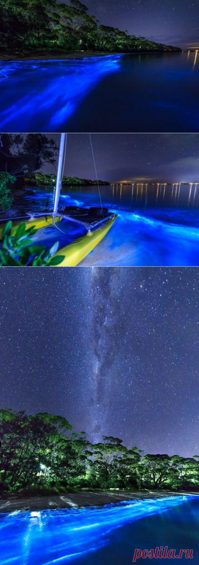 Южный Уэльс, светящийся планктон / Туристический спутник