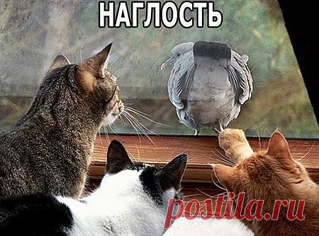Да уж!