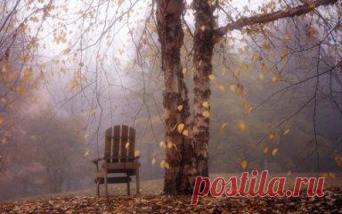 Черной, слезною ночью в приемное отделение
Поступила больная осень морозом побитая.
Перепахана вся, на пределе оледенения
Говорит, что не в мочь стало пить дождевую литрами.
Говорит, что сама от себя хочет в высь с перелетными.
Говорит, что давно б уже наземь, как все багряное...
И руками своими холодными и черноземными
Бороздит себе тело глубокими ранами рваными.
Пошатнулась. Икнула. Лицо заострила изморозь.
Полетели комки земляные из горла насыпью.
Заскорузлая осень вплотную ко мне придвинулас