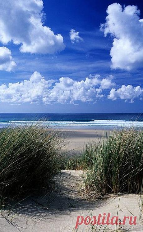 dunes at Gwithian | Flickr - Photo Sharing!