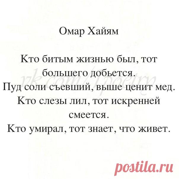 Людмила Ибрагимова