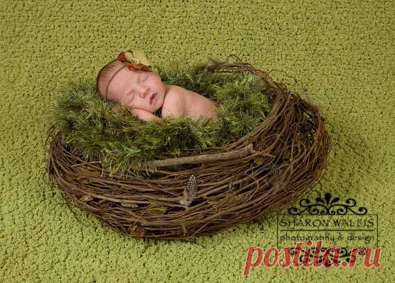 Dark Green Photo Prop Baby Photography Prop. Newborn by BabyBirdz