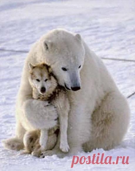 Дождь купюр на два разбитых сердца... | Приколисты