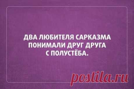 В точку! Самые отборные цитаты