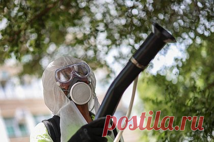 В России оценили риски завоза в страну смертельно опасной лихорадки