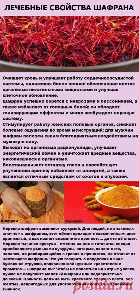 Лечебные свойства шафрана. Как выбрать шафран