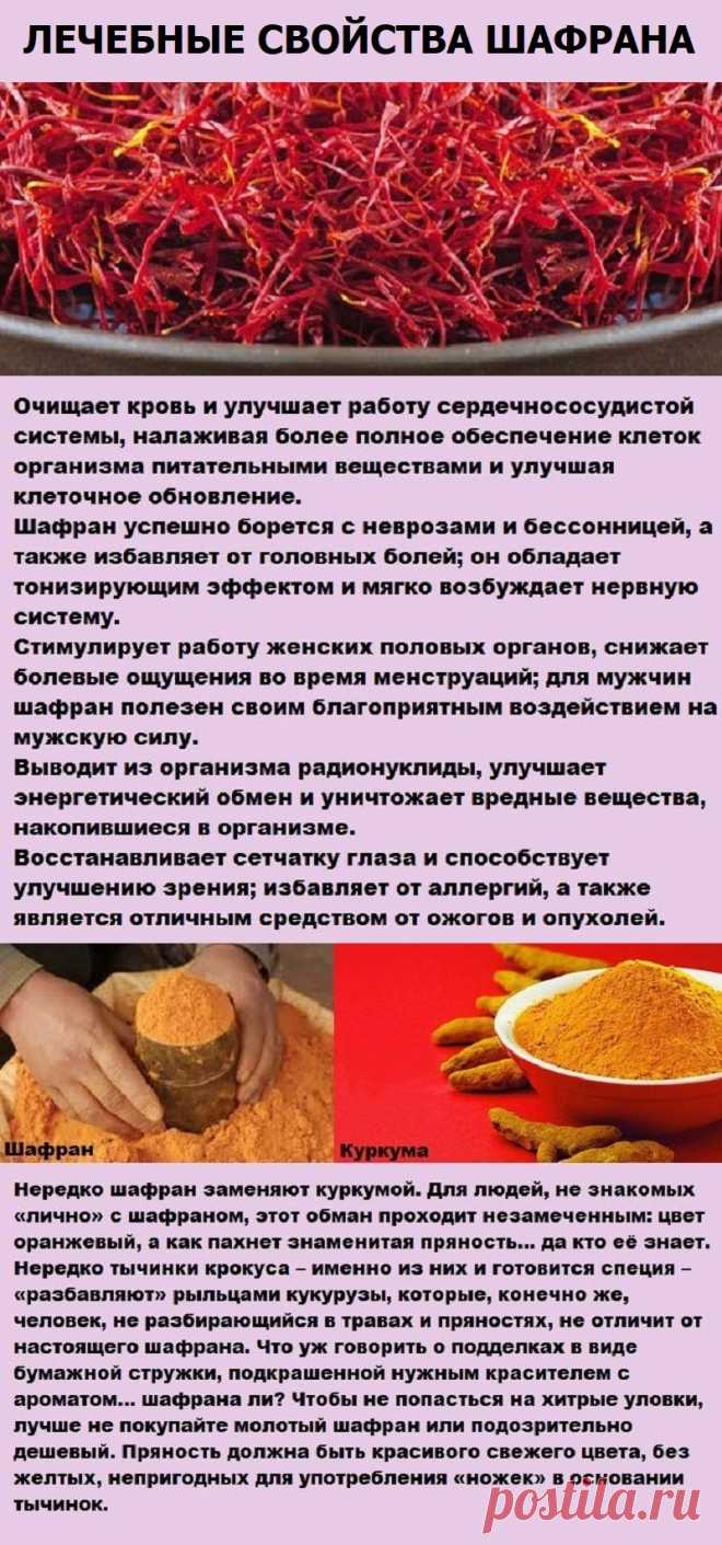 Лечебные свойства шафрана. Как выбрать шафран