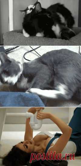 Huru.ru :: GIF Картинки