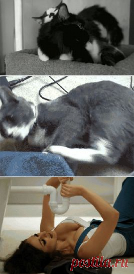 Huru.ru :: GIF Картинки