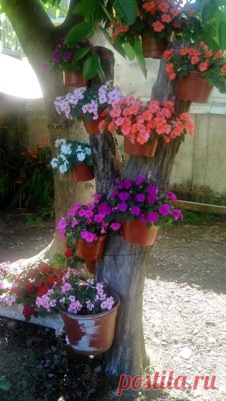 Нарядное дерево!