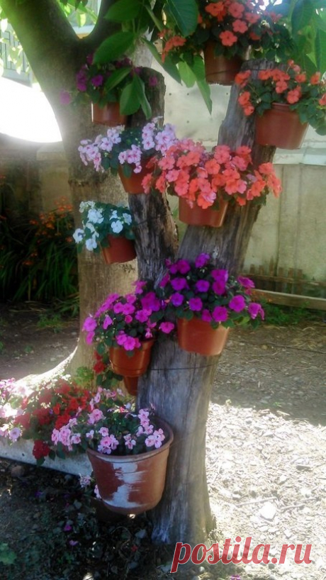 Нарядное дерево!