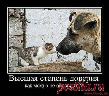 БОЛЬШОЙ МАЛОГО НЕ ОБИДЕТ...