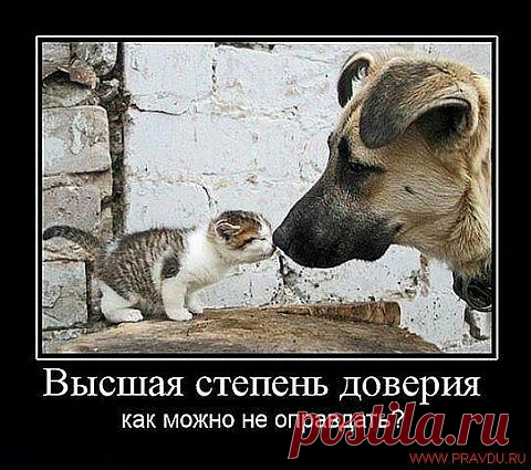 БОЛЬШОЙ МАЛОГО НЕ ОБИДЕТ...