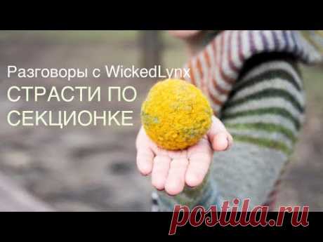 Разговоры с WickedLynx. Страсти по секционке