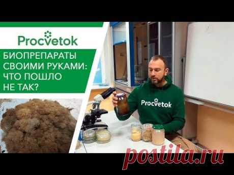 (8) Почему не выросла Триходерма? Ох уж эти &quot;практики&quot;! - YouTube