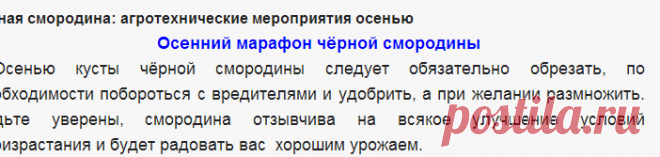 Чёрная смородина: агротехнические мероприятия осенью - Сады Сибири