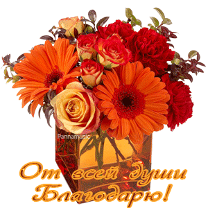 Удобрение растений дрожжами - несколько рецептов