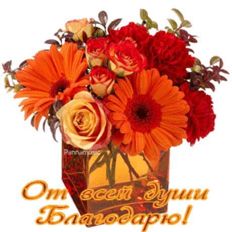 Удобрение растений дрожжами - несколько рецептов.