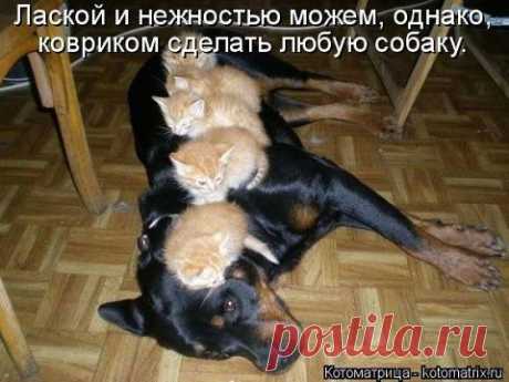 хх