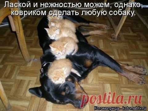 хх