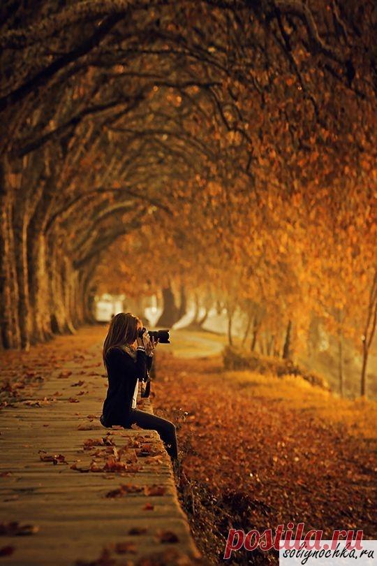Золотая осень и девушка с фотоаппаратом, фото на тему 