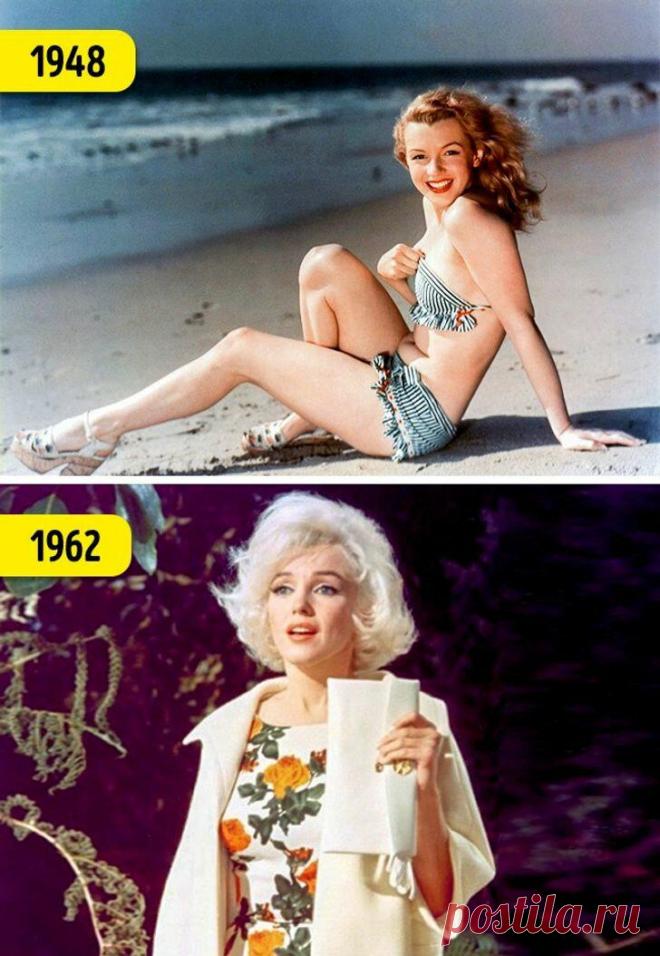 11 ролей легенд Голливуда, которые оказались для них последними
Эти роскошные женщины завоевали весь мир и даже больше. Одним взглядом они покоряли поклонников и знаменитых артистов. Но и мужская часть актерской братии старого Голливуда не уступала дамам в количестве завоеванных сердец. 1. Мэрилин Монро © 20th Century Fox , © Contrasto/East News Фактически последней картиной, в которой снялась...
Читай дальше на сайте. Жми подробнее ➡