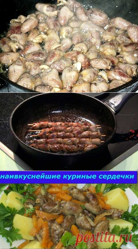 (4) Одноклассники