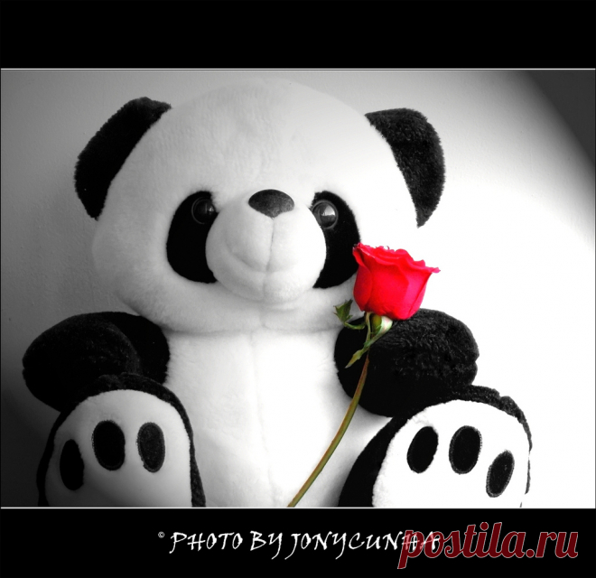 TODA MULHER MERECE UMA FLOR - AO DIA INTERNACIONAL DA MULHER...Every Woman Deserves a Flower - To International Women's Day A TODAS AS MULHERES, PRINCIPALMENTE A MINHA PEQUENINA... EM TAMANHO, MAS GRANDE EM AMOR, DEDICAÇÃO E PERSEVERANÇA...TE AMO GRACY!!!  Receita de mulher  As muito feias que me perdoem Mas beleza é fundamental. É preciso Que haja qualquer coisa de flor em tudo isso Qualquer coisa de dança, qualquer coisa de haute couture Em tudo isso (ou então Que a mulh...
