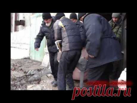 Последнее русское предупреждение! (видео 16+)