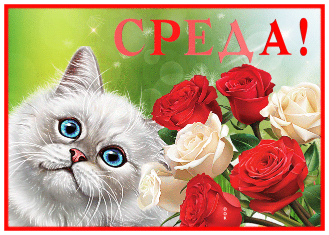 Великолепная картинка со средой с котиком и цветами