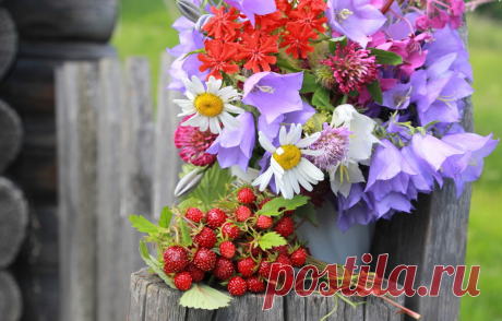 Я грущу о тебе, уходящее лето, Как грустят журавли, покидая свой край, Улетая к теплу, на другой конец света, Не надеясь найти ослепительный рай. Им не нужен другой, многокрасочный остров, Им для счастья родные просторы нужны, А летят далеко от зимы они просто, И скучают в долинах чужой стороны. Вот и я говорю всем цветам: &quot;До свиданья&quot;, Скоро скроют снега и луга и поля, И сменив яркий ситец своих одеяний, Белым пухом укроется тихо земля. ...