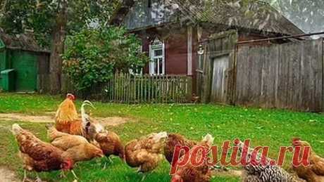 СТАРЫЙ ДОМ