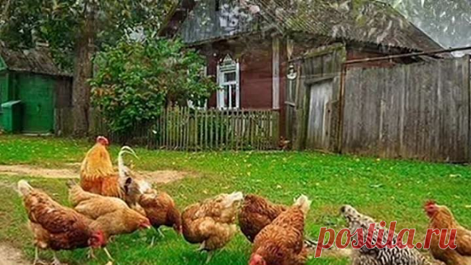 СТАРЫЙ ДОМ