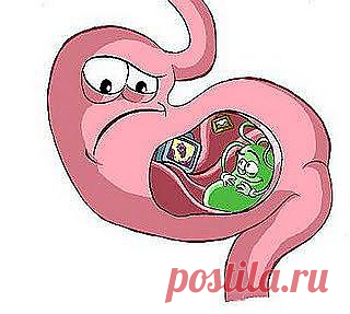 ГАСТРИТ - лечение гастрита желудка народными средствами в домашних ус | Народные рецепты