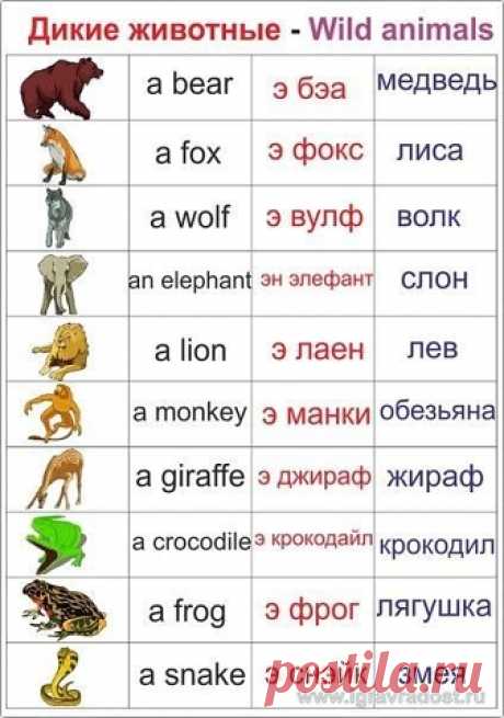 (51) Одноклассники