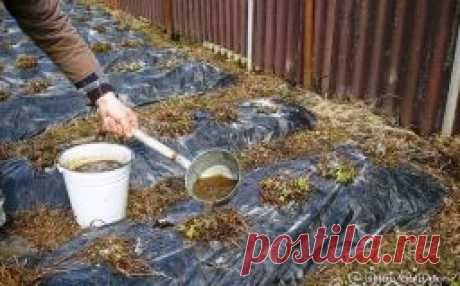Весенние работы в саду - Садоводка
