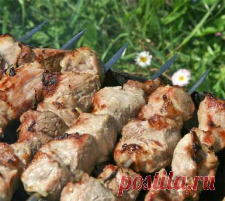 Шашлык из свинины гранатовый - Шашлык из свинины от 1001 ЕДА вкусные рецепты с фото!