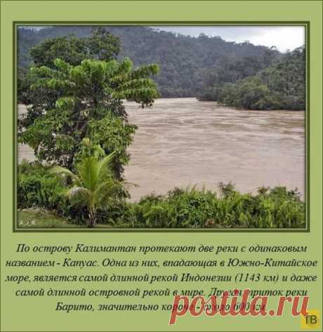 ИНТЕРЕСНЫЕ ФАКТЫ.