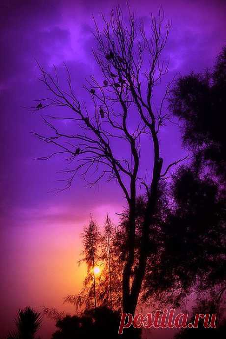Sunset | Sunrise ☼ Sunset